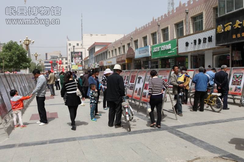 定西市“2015年5•18国际博物馆日系列活动”正式启动（包新田 摄）