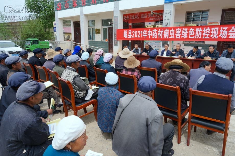 岷县博物馆支部邀请当归研究院推广研究员陈书珍同志为在场的40余名群众作了中药材病虫害及种植的相关培训（包新田 摄）