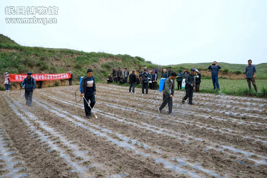 进行田间实地操作培训（包新田 摄）
