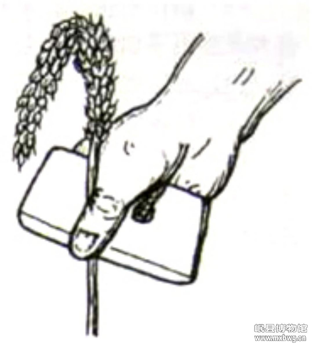 1680832012450991.jpg