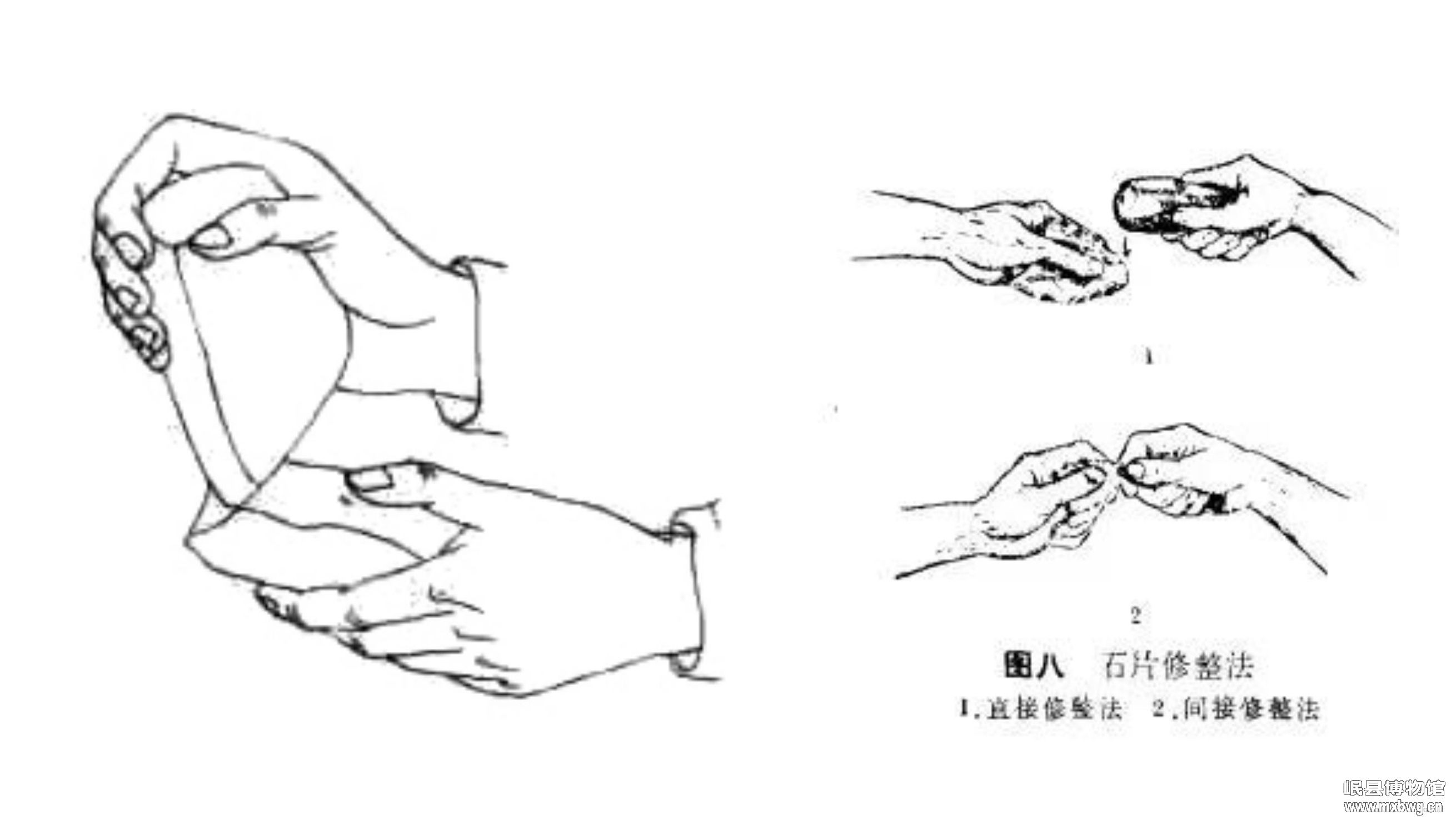1685065923549576.jpg