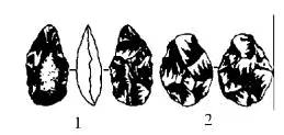 1685070898281179.jpg