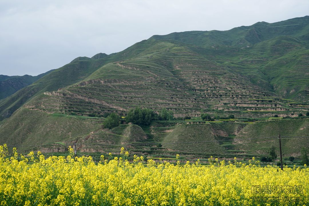 BXT03427.JPG