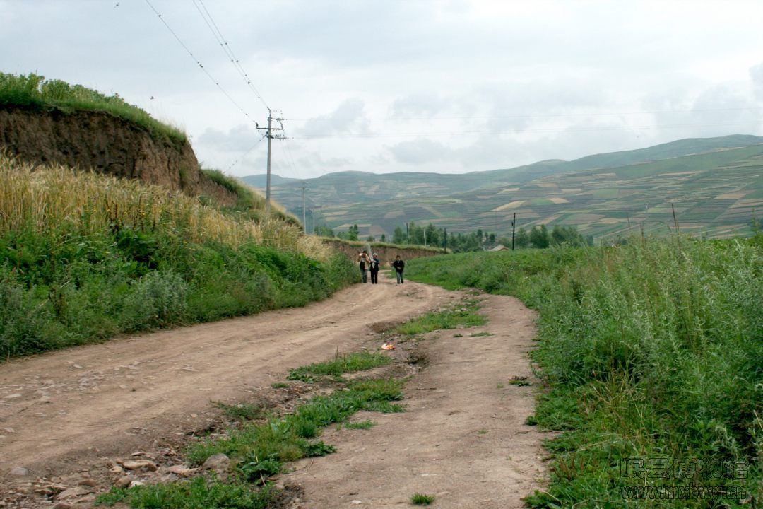 洮岷长安古道岷县青土村至申都村段遗迹照 006.jpg